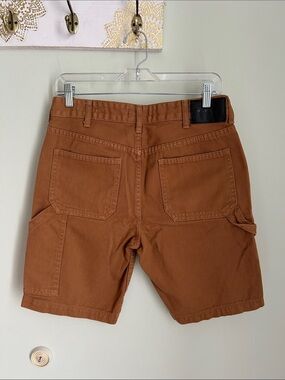 PacSun Men's Rust Brown Cargo Shorts